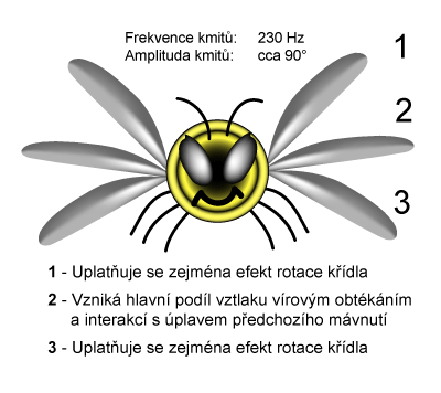Popis tří fází pohybu křídla včely při letu