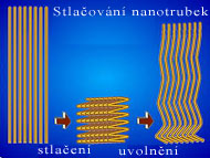 Průběh stlačování a uvolňování pěny z nanotrubek