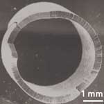 Filtr z nanotrubek